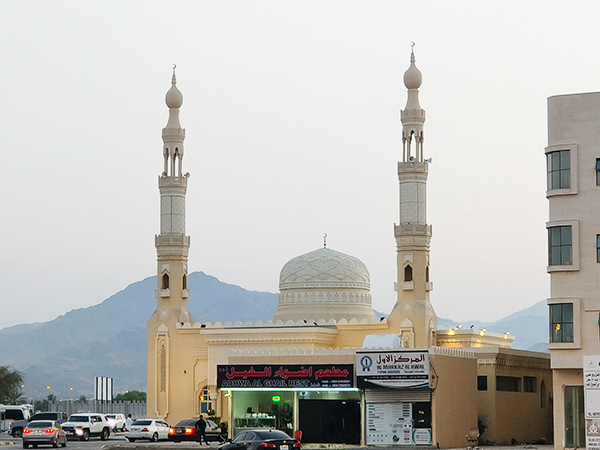 中東出口，食品行業(yè)市場需求與潛力如何？