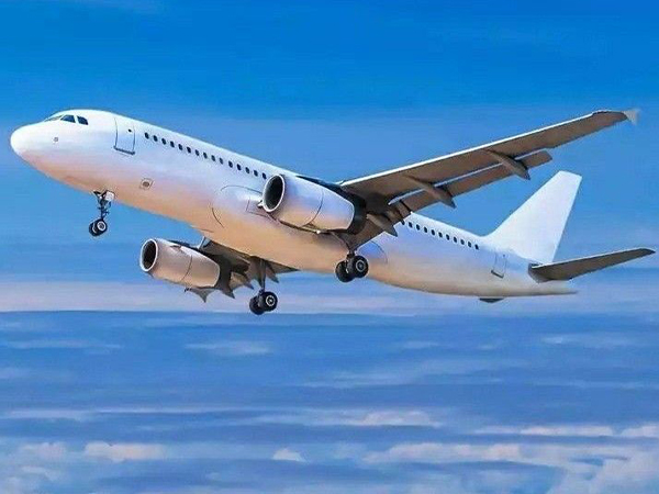 安時達卡塔爾貨代，卡特爾頭頂上的黑圈圈是啥？