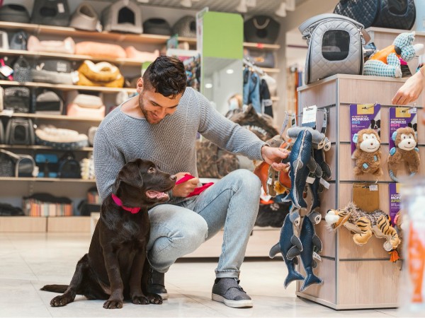 安時達(dá)沙特海運(yùn)，寵物用品沙特GCC認(rèn)證具體流程是怎樣的？